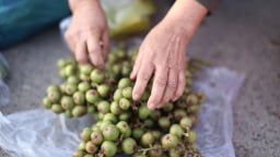 Phiên chợ 'độc, lạ' ở Bình Định, năm chỉ họp một lần vào đúng mùng 1 Tết, chợ bán những thứ gì?