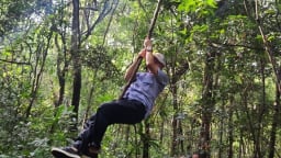 Một khu rừng ở Đồng Nai cách TP HCM 80km, cây cổ thụ khổng lồ, còn động vật hoang dã, rắn lục xanh đuôi đỏ