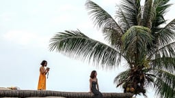 Một hòn đảo đẹp như phim ở Kiên Giang, có cây dừa sống nằm dài trên đá khiến thiên hạ tò mò