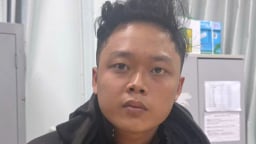 Đối tượng đâm chết người vì chiếc điều cày ở TP.HCM có thể bị xử lý thế nào?