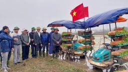 Ở Bắc Giang, nhiều cánh đồng nông dân không phải đi cấy, trên đầu máy bay không người lái phun thuốc, rải hạt vèo vèo