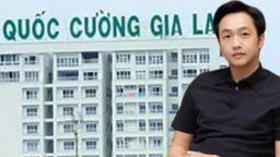 Năm đầu Cường 'Đô La' ngồi ghế nóng, bất động sản Quốc Cường Gia Lai báo lãi cao nhất 4 năm