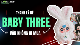 Qua 'cơn sốt', búp bê Baby Three thanh lý giá rẻ vẫn khó tìm người mua