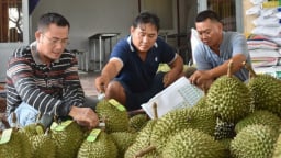 Bộ trưởng Đỗ Đức Duy: Giao kiểm dịch thực vật cho địa phương, 'mã số vùng trồng phải như mã định danh trên thẻ CCCD'