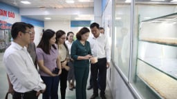 57 trong nông nghiệp: 3 khó khăn của nông dân xuất sắc, HTX khi “đổi mới sáng tạo” (Bài 7)