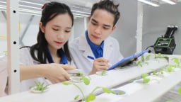 Đột phá KHCN từ Nghị quyết 57: Áp dụng cơ chế 'đặt hàng', tránh tình trạng 'trên rải thảm, dưới rải đinh' (Bài cuối)