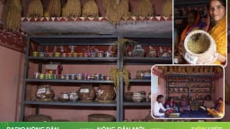 Có một ngân hàng dành riêng cho nông dân nhưng không cho vay tiền
