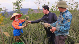 Loại quả ngon trồng theo tiêu chuẩn toàn cầu, cứ 1ha,  HTX này ở Nghệ An thu 1 tỷ