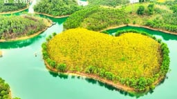 Rực rỡ đảo hoa Phong Linh trên hồ Thác Bà
