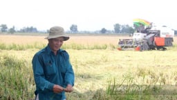 Người dân thế chấp đất nông nghiệp để vay vốn ngân hàng được không?