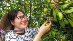 Đặc sản Cà Mau, loài cây dại ra quả dại ngờ đâu lại làm món quà vặt bén miệng