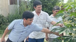 Cả làng phục lăn các nông dân Đồng Nai sáng chế máy phun thuốc cho cây mì, hệ thống tưới giỏ giọt, bỏ phân