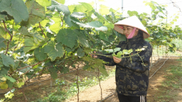 Nông dân Cao Bằng xây dựng nhiều mô hình hiệu quả từ nguồn vốn Quỹ Hỗ trợ nông dân