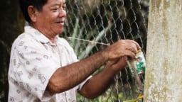 Chuyện lạ Vĩnh Long: Vì loài ăn đêm, mất vài trăm triệu/năm vẫn vui