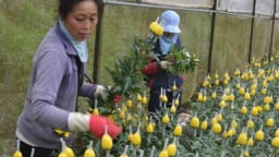 Kỷ niệm 8.3: Phụ nữ nông thôn hết thời...   “chân lấm, tay bùn”