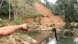 Kỳ bí nơi rừng thẳm Sơn La suối nước trong vắt, cá kéo đến đen kịt