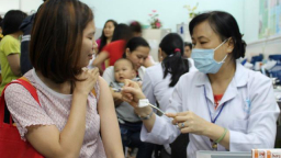 Hết vắc xin ngừa dại, người bị chó mèo cắn phải làm gì?