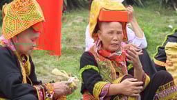 Đặc sản xứ Lạng: Rùa đá nhốt rọ, quả lạ vàng rực, rết độc nhốt chai