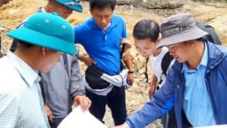 Phá rừng ở Gia Lai: Chưa khám nghiệm hiện trường vì trời nhiều mây