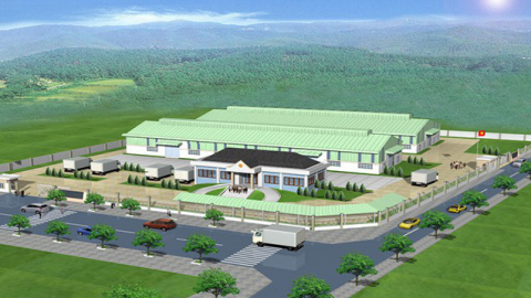 Động lực nào cho mức tăng phi mã của MBG