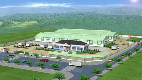 Điều gì khiến 'cổ phiếu trà đá' MBG tăng mạnh nhất năm 2019?