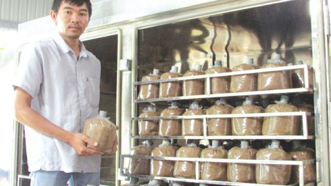 Có vốn Agibank, nông dân vững tin làm giàu