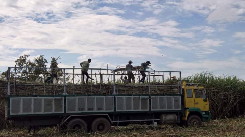 Sau gần nột năm ATIGA có hiệu lực:  Khó khăn kép khiến ngành mía đường “hụt hơi”