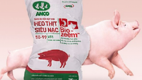 Masan Meatlife dự góp thêm khoảng 500 tỷ vốn cho Anco