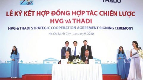 Thadi bắt tay Hùng Vương lập công ty sản xuất heo giống