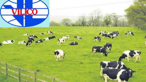 GTNFoods thông qua hồ sơ hợp nhất với Vilico