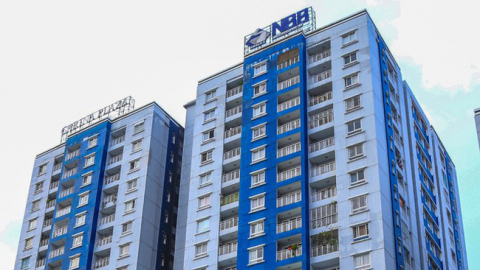 Giá cổ phiếu NBB tăng 110%, CII xem xét giảm sở hữu  về 65,1%