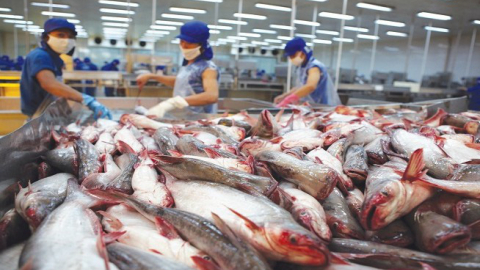Hiệp định UKVFTA, doanh nghiệp cần chú ý gì?