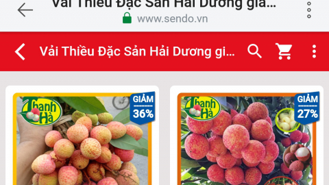 Vải thiều Thanh Hà chính thức lên Sendo, 4 tiếng bán hết veo 3 tấn