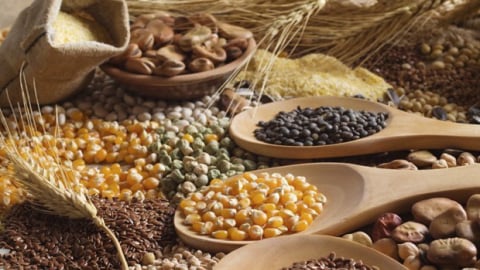 FAO: Chi phí nhập khẩu lương thực toàn cầu sẽ tăng lên mức kỷ lục 