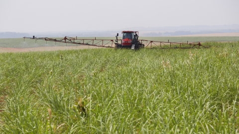 AGG xác nhận Glyphosate an toàn và không gây ung thư
