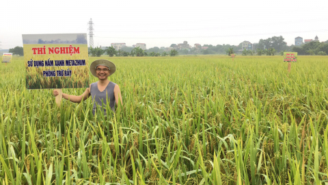 FAO tài trợ 400.000 USD để Việt Nam xây dựng chiến lược quản lý sức khỏe cây trồng tổng hợp