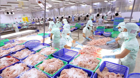 Thủy sản Cửu Long An Giang (ACL): Lãi ròng tiếp tục tăng mạnh 175%, đạt hơn 11 tỷ trong quý II