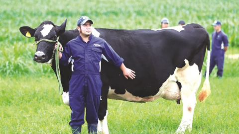 GTNFoods: Lợi nhuận quý II giảm 3%, đạt 47 tỷ đồng và kế hoạch sáp nhật vào Vilico