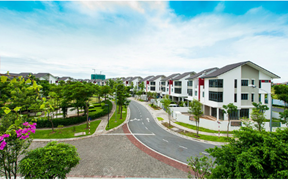 Cổ phiếu tăng hơn 100%/tháng, VGS có gì đặc biệt?