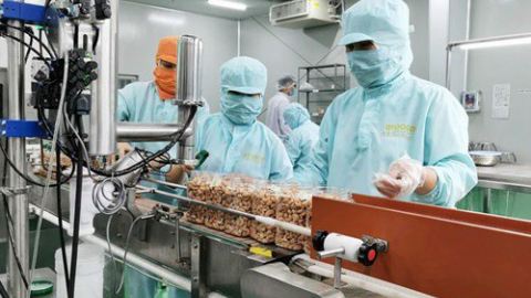 Khử trùng Việt Nam (VFG) tạm ứng chia cổ tức tiền mặt tỷ lệ 10%
