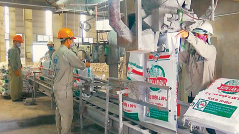 Hóa chất Đức Giang (DGC): Lợi nhuận tăng bằng lần, trữ tiền cao kỷ lục, EPS cả năm đạt 13.125 đồng/cổ phiếu