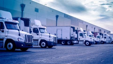 Logistics Vinalink (VNL): Chốt ngày tạm ứng cổ tức đợt 1 năm 2022 bằng tiền mặt