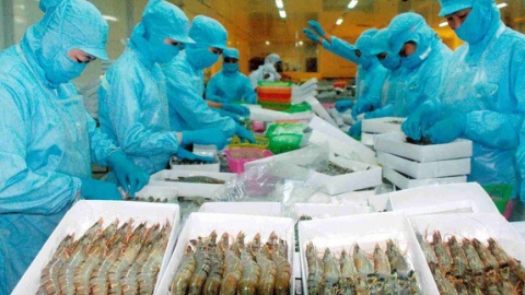 Thủy sản Bến Tre (ABT) báo lãi đột biến, tăng gấp 11 lần so với cùng kỳ