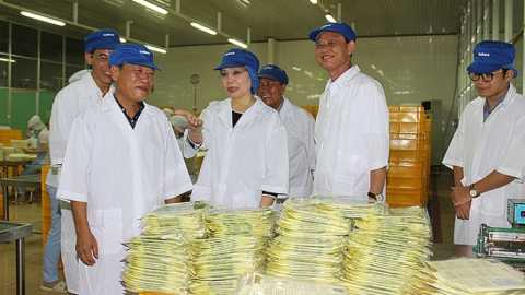 Safoco (SAF) báo lãi giảm nhẹ còn hơn 14 tỷ đồng