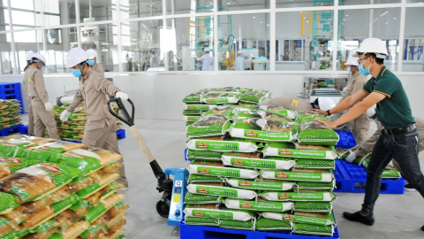 Thời vụ bị đẩy lùi do thời tiết, quý III/2022 Vinaseed (NSC) báo lãi giảm mạnh