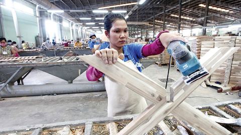 9 tháng Gỗ Trường Thành (TTF) hoàn thành 10% kế hoạch năm