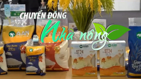 Chuyển động Nhà nông 5/10: Nhãn hiệu gạo ST24 và ST25 của kỹ sư Hồ Quang Cua được bảo vệ tại Australia
