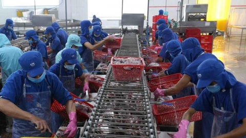 Camimex Group (CMX) sẽ phát hành 300 tỷ đồng trái phiếu với lãi suất 11,2% 