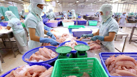 Thủy sản Cửu Long An Giang (ACL) báo lãi quý III gấp 6 lần cùng kì