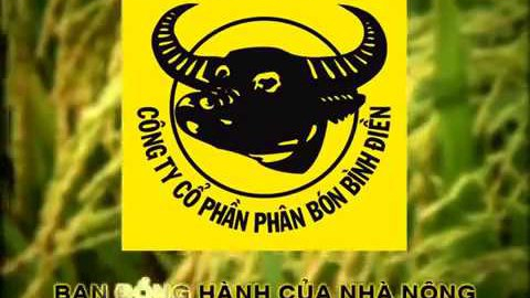 Phân bón Bình Điền (BFC) sắp tạm ứng cổ tức đợt 1 năm 2022 bằng tiền
